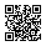 Gun shotQR code on download page